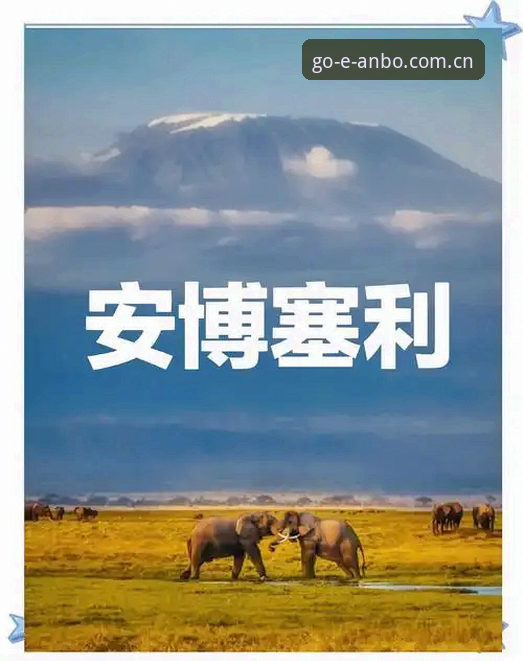 2026安博体育新用户注册 资深用户分享:2026安博体育新用户注册实战经验与完整指南